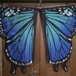 Kids Butterfly Wings