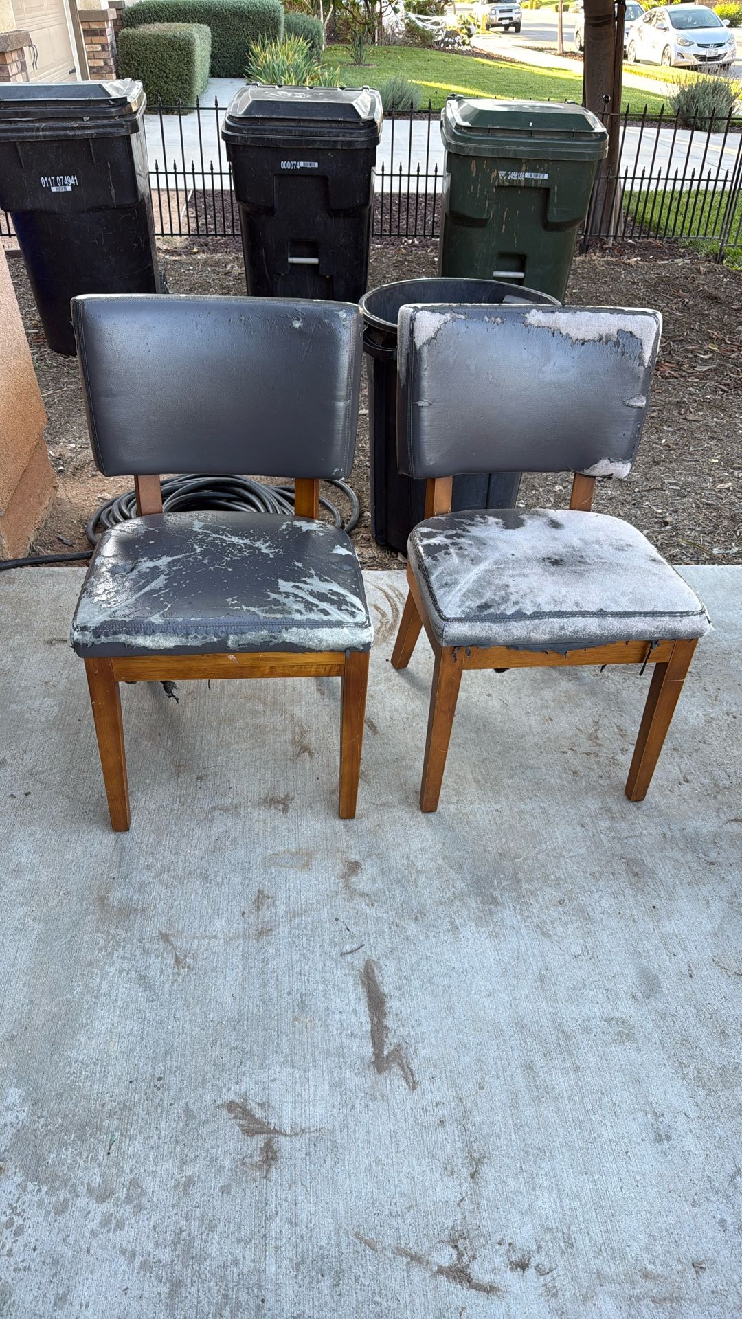 Free Chairs