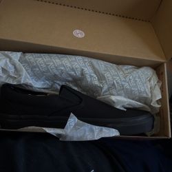 Vans Shoes Size 10.5