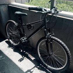 Bike 22”