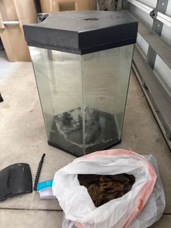 20 gallon octagon fish tank with accessories