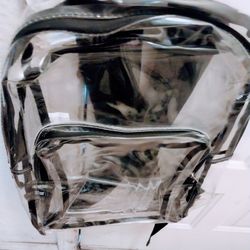 Eastsport Large Clear Backpack 