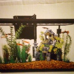 Imagitarium 10 Gallon LED Aquarium Kit