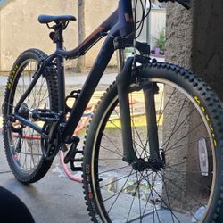 Liv Bliss From The Giant Family 