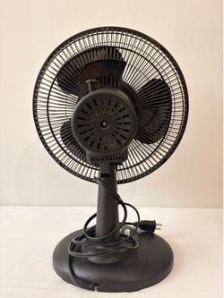Fan