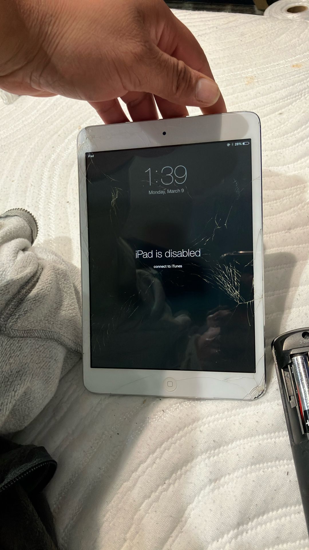 iPad Mini