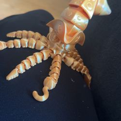 Pirate Squid 
