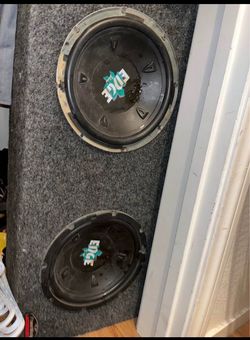 Speaker