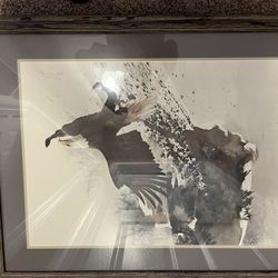 Eagle Print