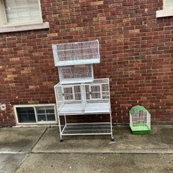 Bird Cage 