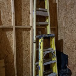 2 Old Ladders 
