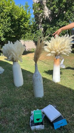 Vases with feathers included