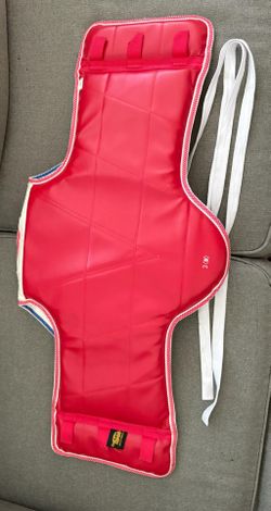 Tae kwon do sparring gear