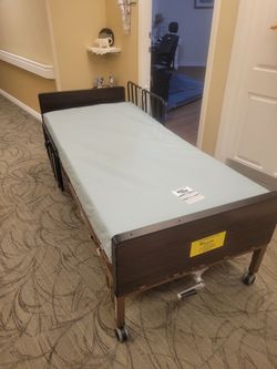 Electric twin bed