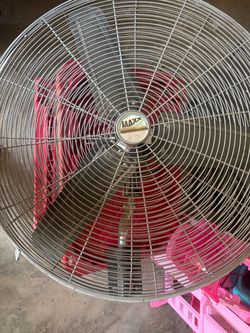 Big Fan