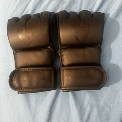 Liberlupus Sparring Gloves