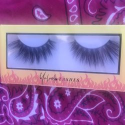 False Lashes 