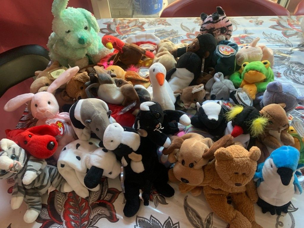 TY Beanie Baby's Collection 