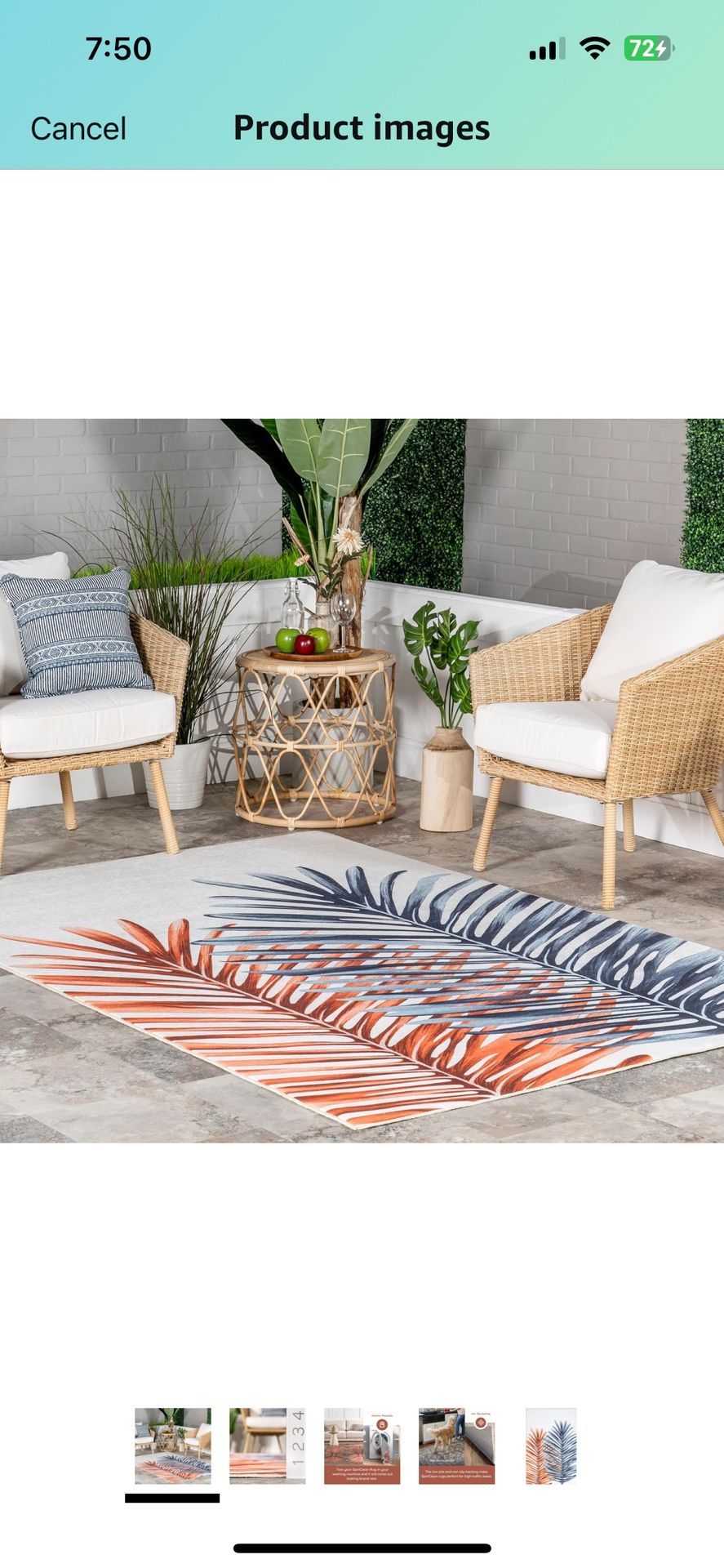 NuLoom Auri Double Palm Indoor/Outdoor Machine Washable Area Rug 4x6