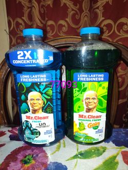 Mr clean $5 **** Houston TX 77093 *****