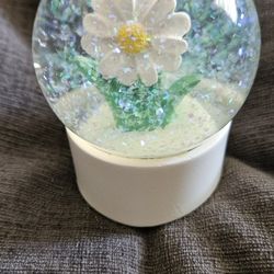 Snow globe 