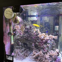 Biocube 32 gallon aquarium – tank only no livestock