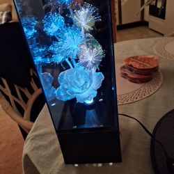 Retro  Fibre Optic Flower Music Box