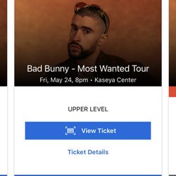 Bad Bunny Concert May 24