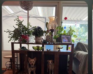 Wooden Dog Crate Furniture Console Table