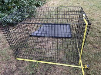 Single Door Collapsible Wire Dog Crate 48 x 30 x 32