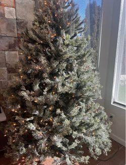 Christmas tree 🌲