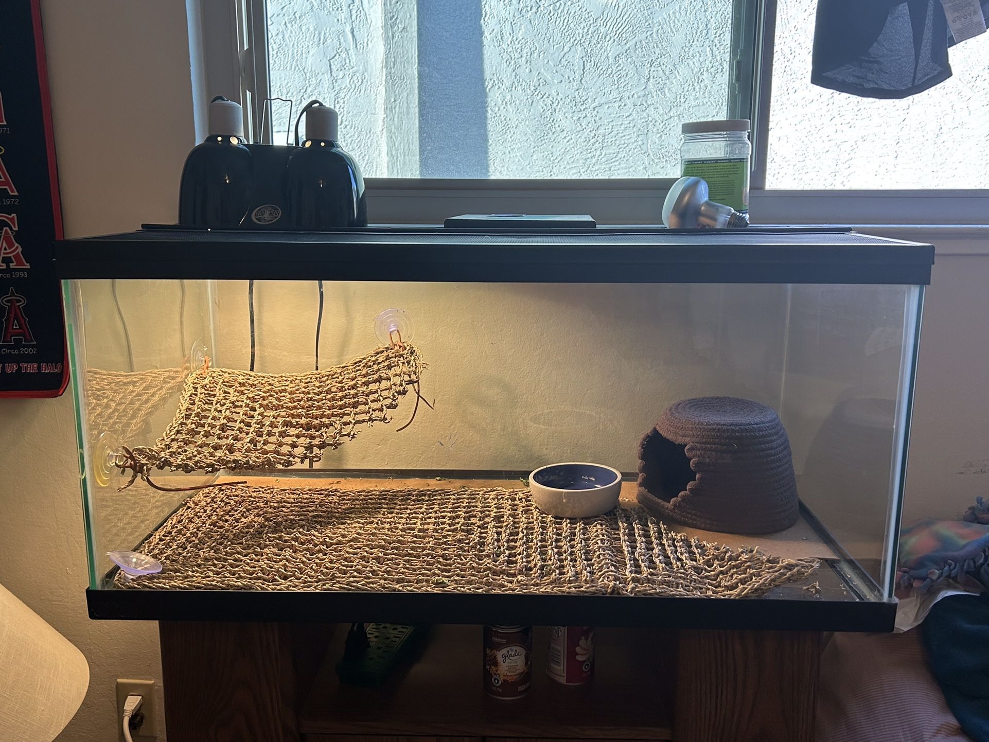 Reptile Terrarium