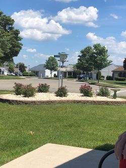 Unique Bird Feeder—Enlarge To View