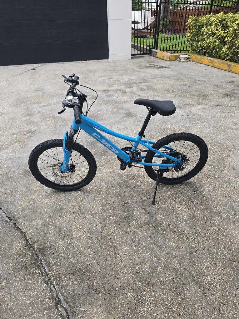 20 Inch 7 Speed Kids Bike