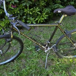 Schwinn Impact bicycle