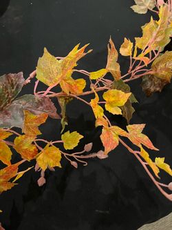 Beautiful light fall/autumn colored 6’ long - 2 available price is for each one