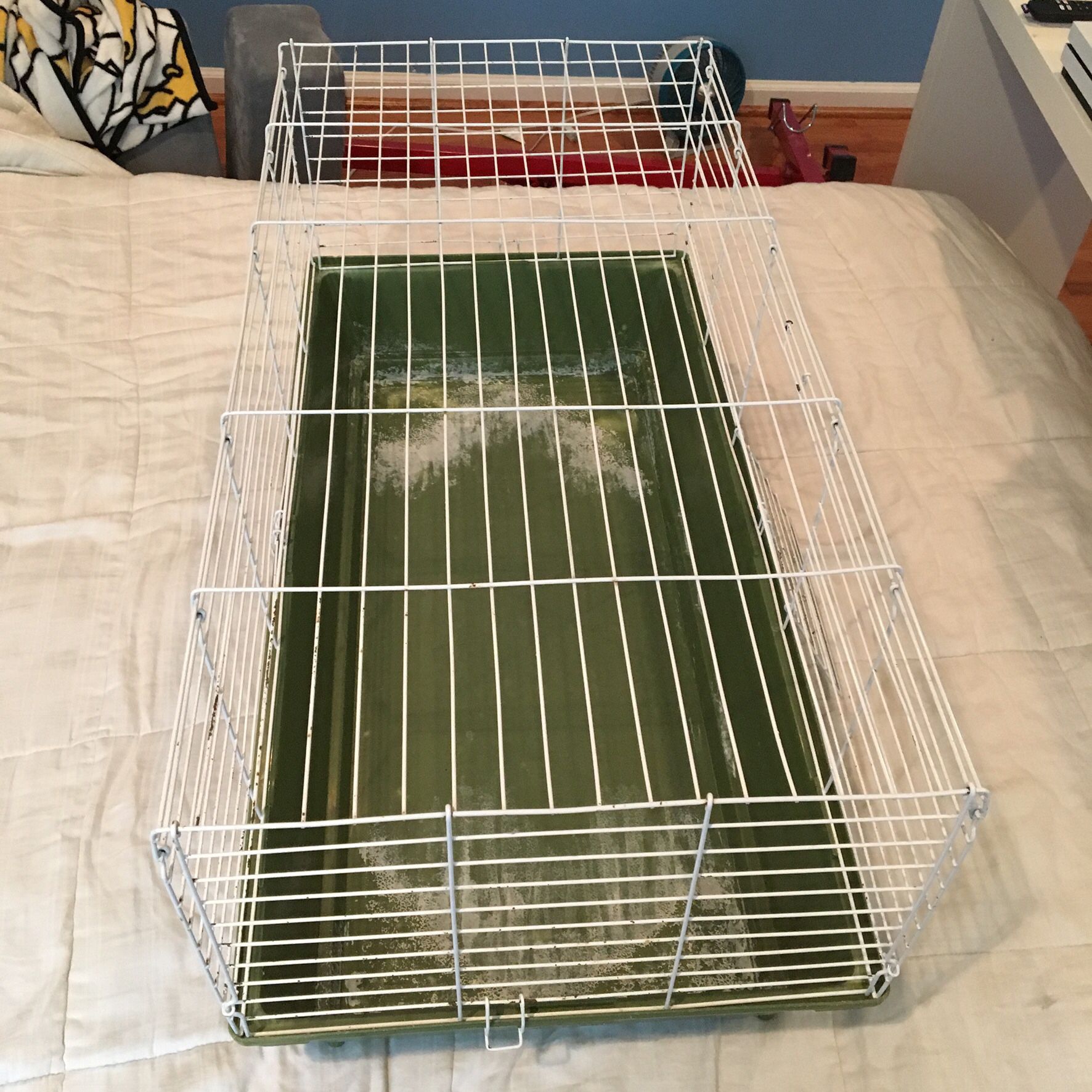 Bunny cage or small pet