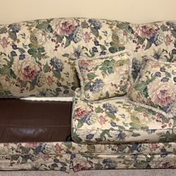 FREE Sleeper Sofa