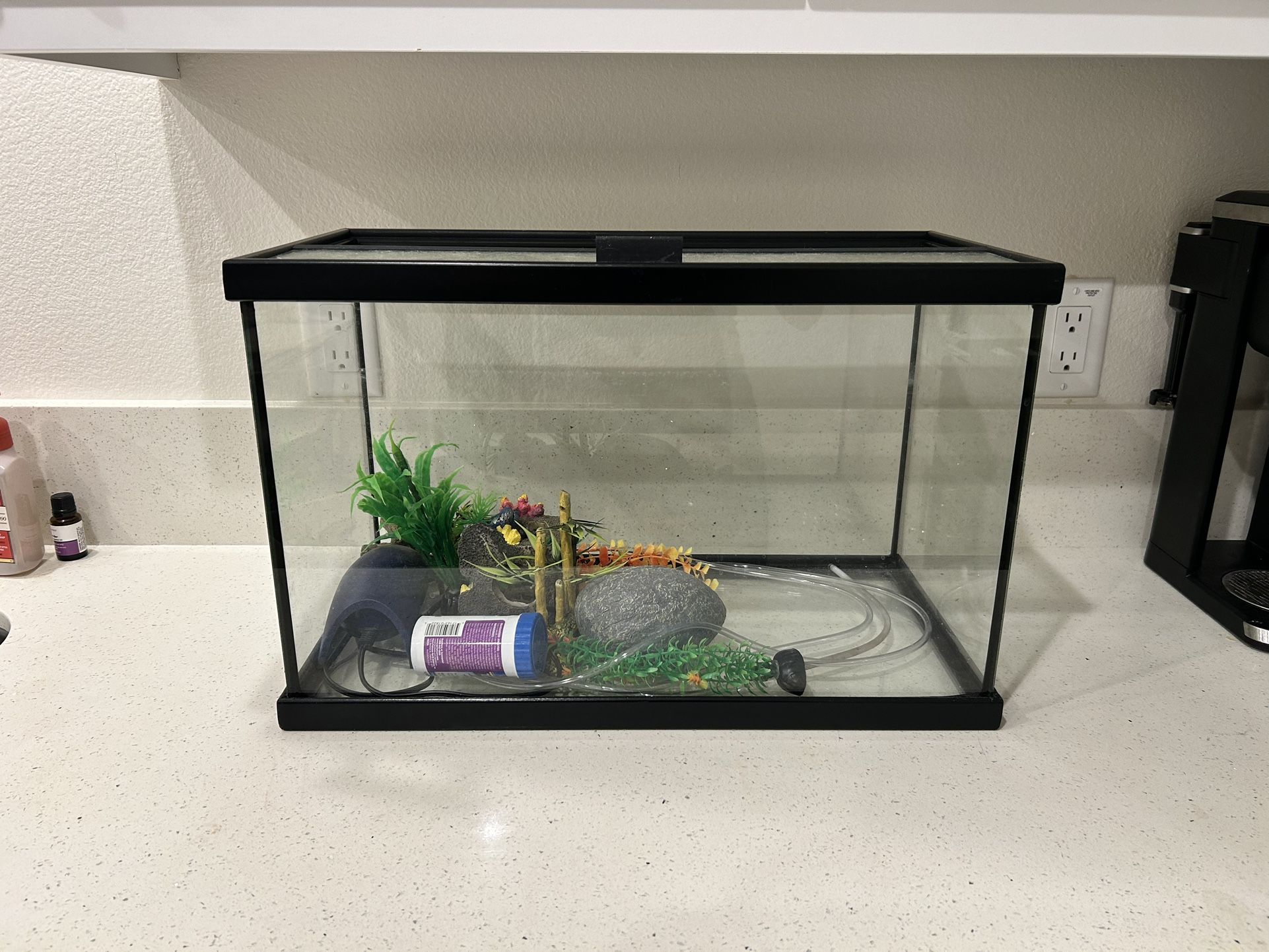 10 gal glass fish tank