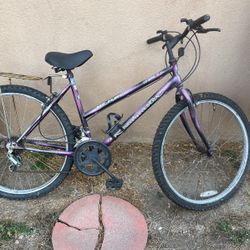 Roadmaster Mt.Fury Bike