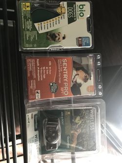Dogs supply all new