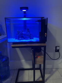 Fluval 13.5 Fully Loaded