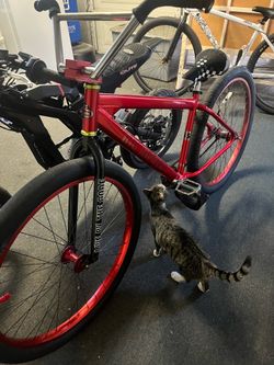 Big ripper fixed gear