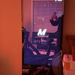 MIRROR -  Plus  Hardware And Resistance Bands