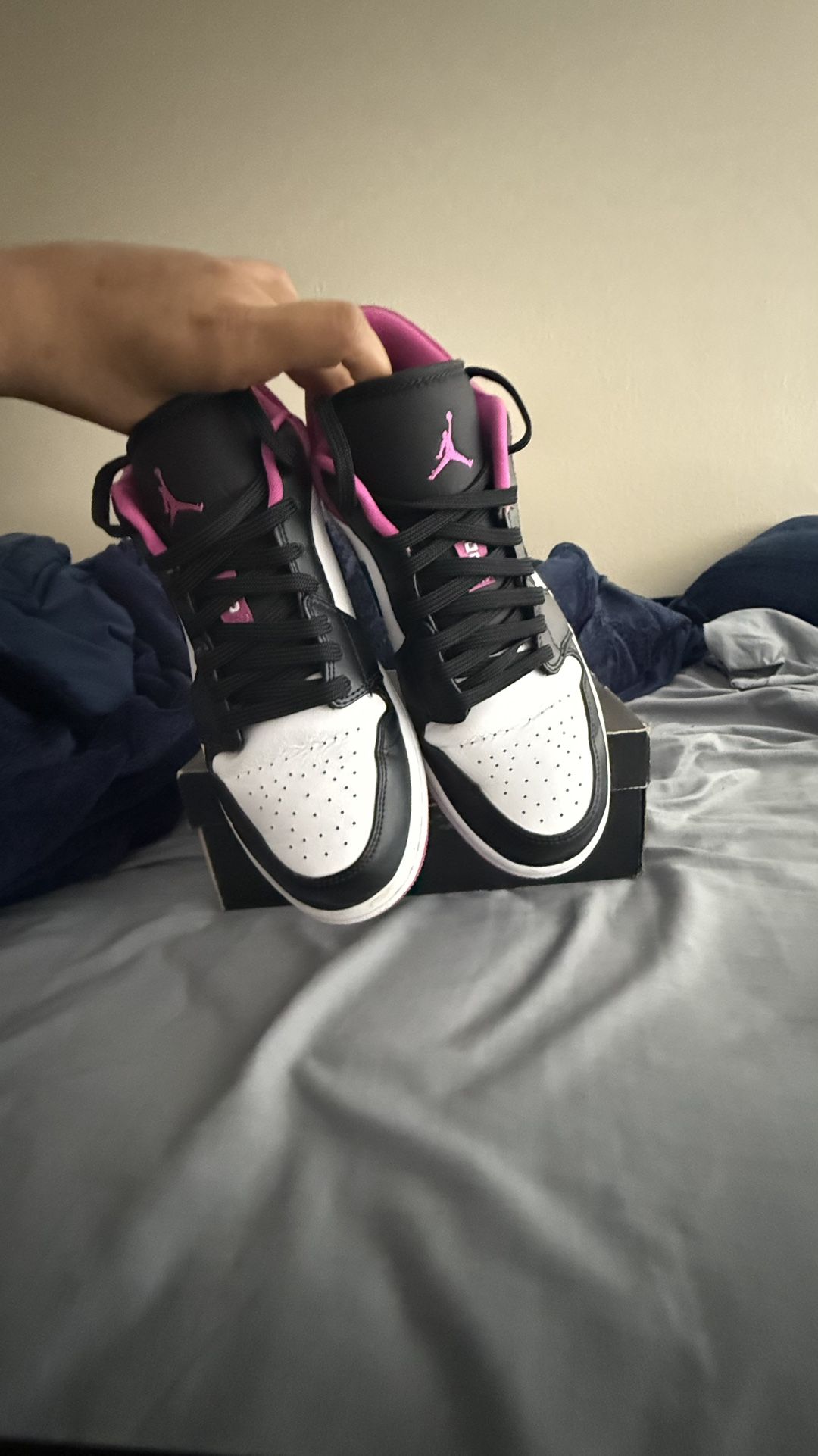 Air Jordan 1 Lows