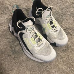 Giannis Immorality Victoria Falls (Size 11.5)