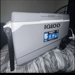 Igloo cooler