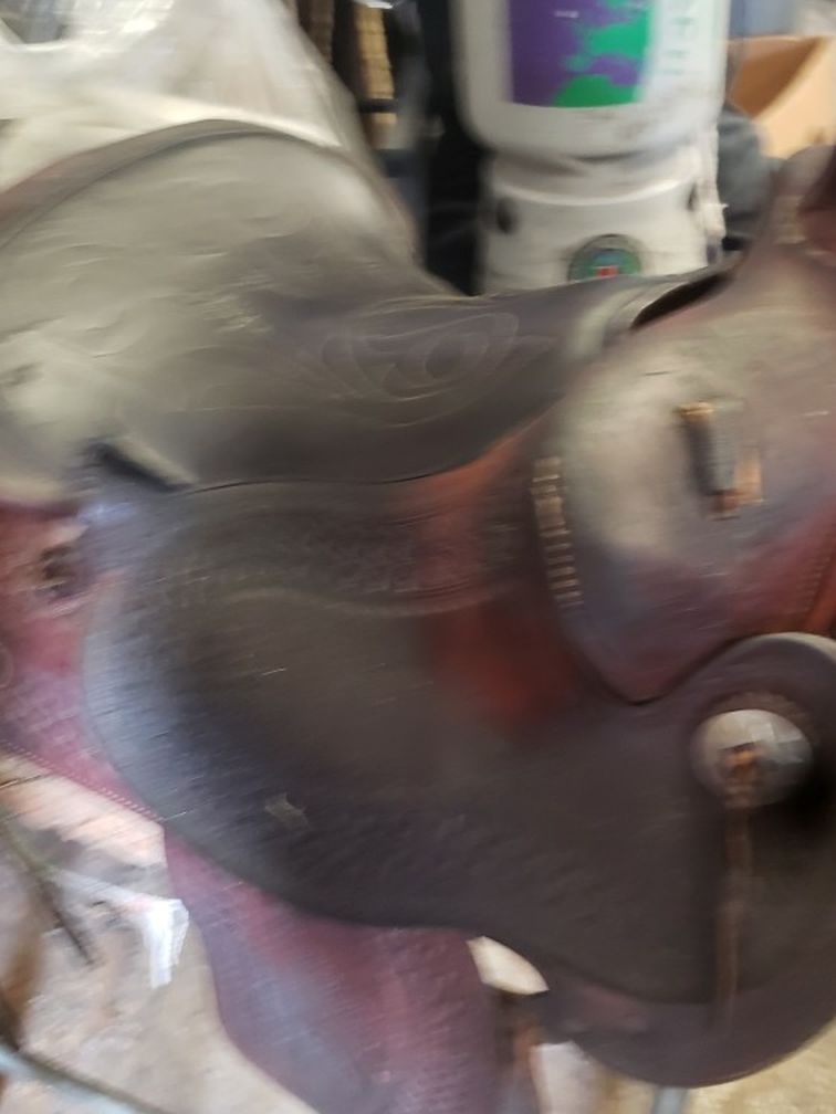 Western Saddle