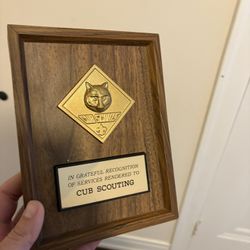 Vintage Cub Scouts Recognition Plaque (1992)