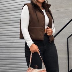 Brown vest 